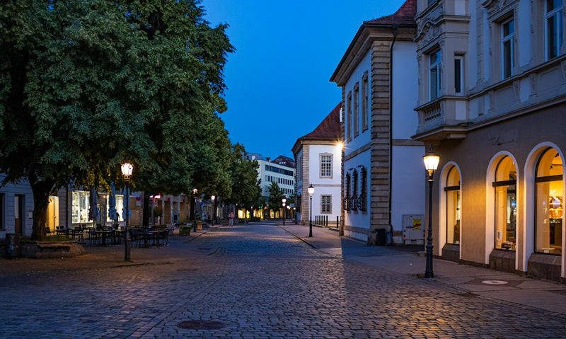 A cobblestone street with trees and buildings lit at twilight